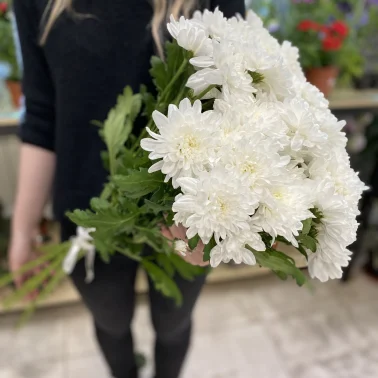 Монобукет из хризантем (Белый)