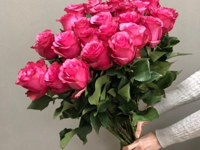 Роза розовая 25 шт Прелесть