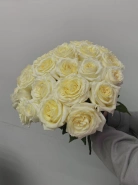 Букет цветов, роза (одноголовая) ,белый , 25 штук, 60 см 0