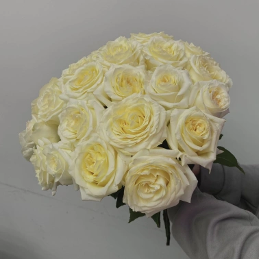 Букет цветов, роза (одноголовая) ,белый , 25 штук, 60 см