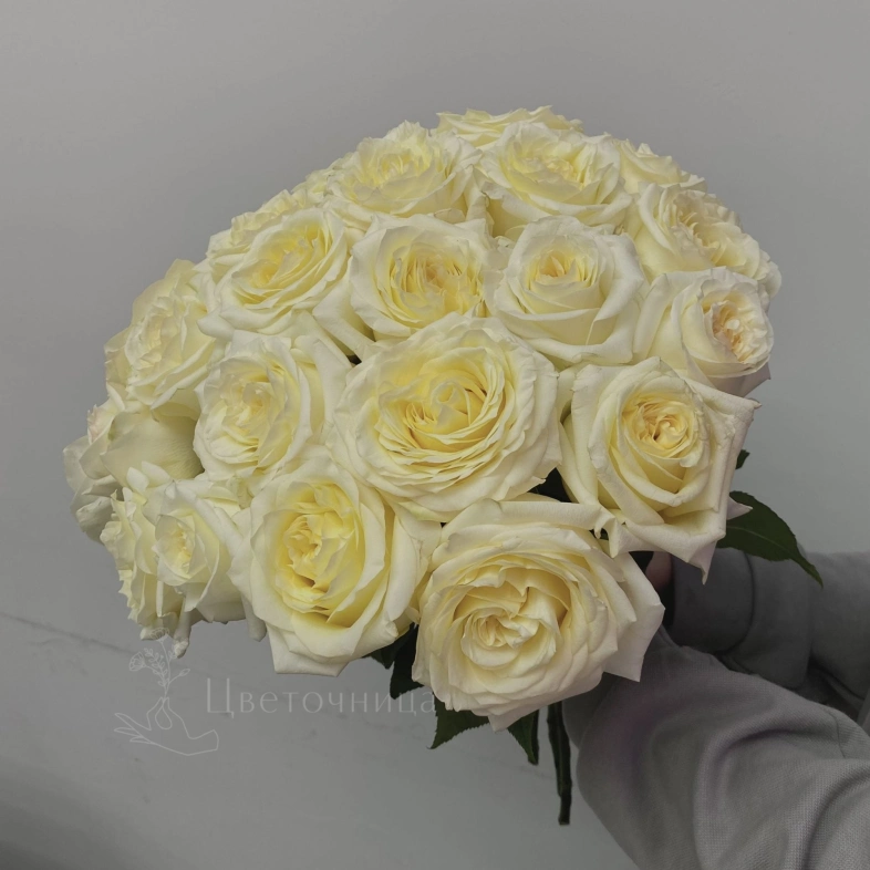 Букет цветов, роза (одноголовая) ,белый , 25 штук, 60 см