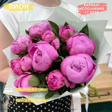 Букет из 11 розовых пионов в пленке