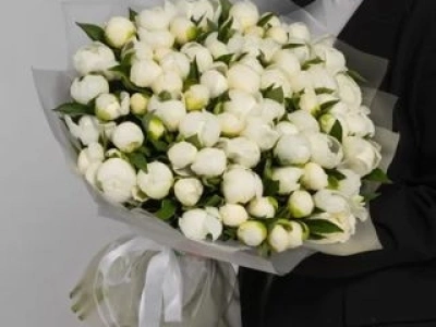 Букет из 51 белых пионов в пленке