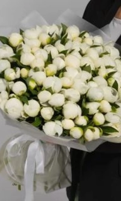 Букет из 51 белых пионов в пленке