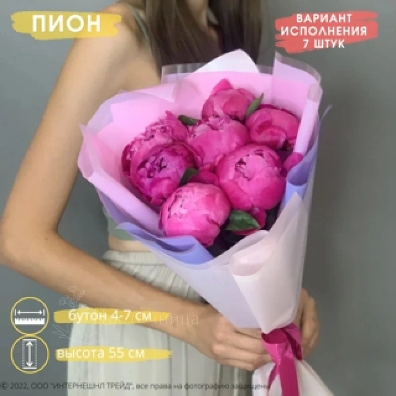 Розовые пионы