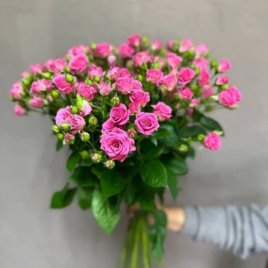 Роза кустовая 15 штук