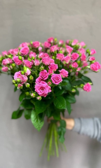 Роза кустовая 15 штук