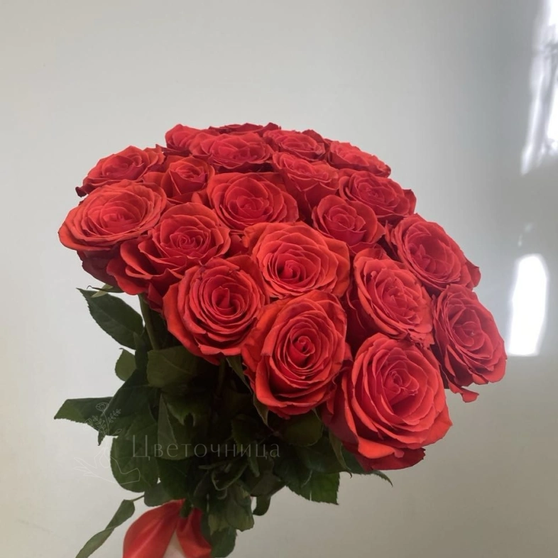 Розы красные 21 штук