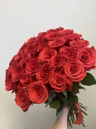 Розы красные 31 штук 0