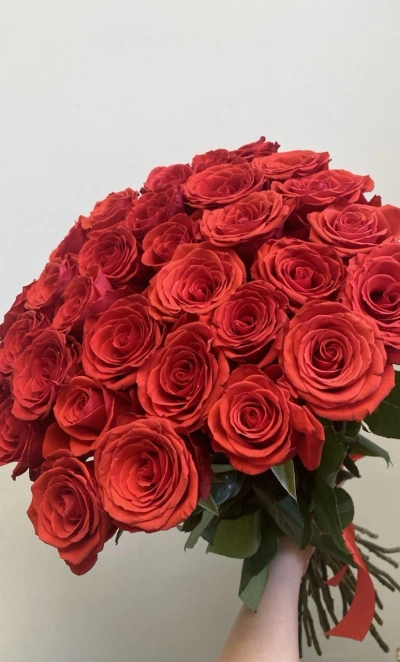 Розы красные 31 штук