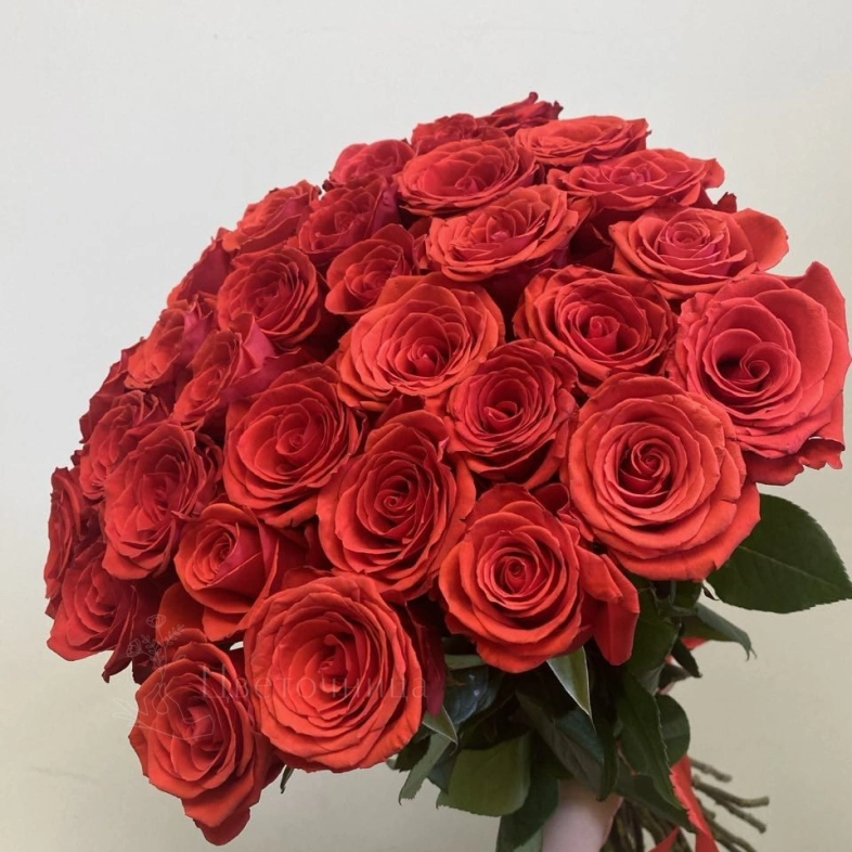 Розы красные 31 штук