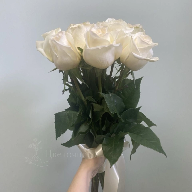 Розы белые 9 штук