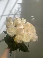 Розы белые 15 штук 0