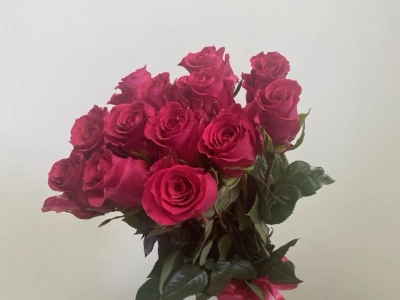 Розы розовые 13 штук