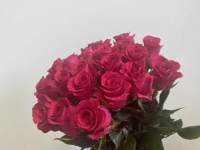 Розы розовые 21 штук