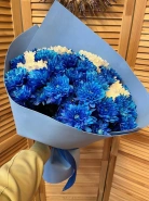 Хризантема синяя 15 шт 0