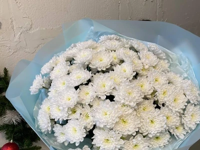 Монобукет из 15 кустовых хризантем Алтай