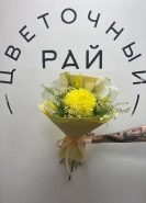 Солнечный свет 0
