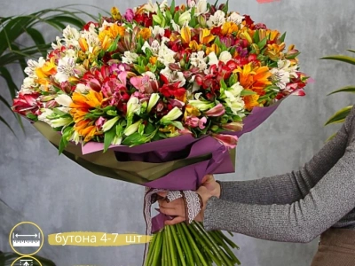 Букет Альстромерия микс 101 шт.