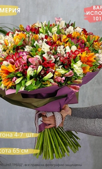 Букет Альстромерия микс 101 шт.
