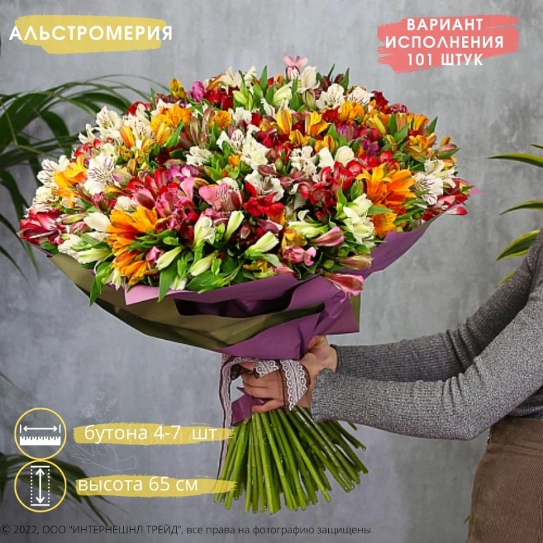 Букет Альстромерия микс 101 шт.